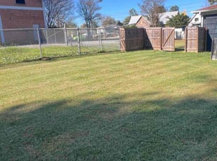 Kathy D.'s Grass Cutting service result