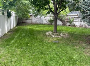 Kevin R.'s Lawn Mowing Service service result