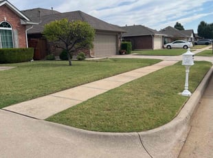 Asha J.'s Lawn Care service result