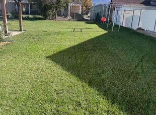 Paula S.'s Lawn Maintenance service result