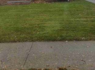 Leaf Removal by Douglas Gray for Amanda C. in Kirtland, OH