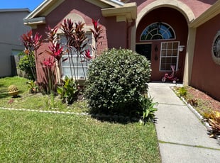 Bush Trimming by Oscar Montes Martinez for Steve W. in Zephyrhills, FL