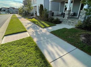 Justine J.'s Lawn Mowing service result
