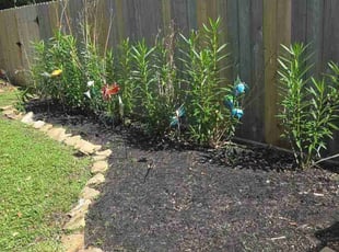 Weeding by Felix Botello for Lianna C. in Houston, TX
