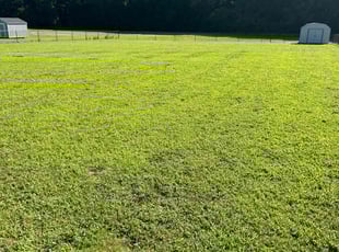 Timothy W.'s Lawn Maintenance service result