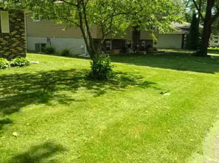 Denise A.'s Lawn Mowing Service service result