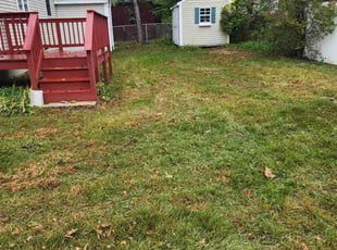 Vivian G.'s Lawn Mowing Service service result