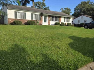 Anne G.'s Lawn Mowing Service service result