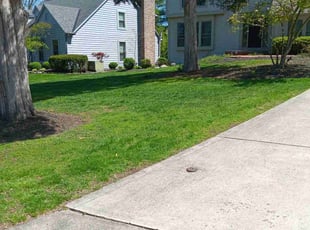 Jasmine B.'s Lawn Care service result