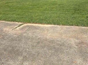 Linda D.'s Lawn Care service result