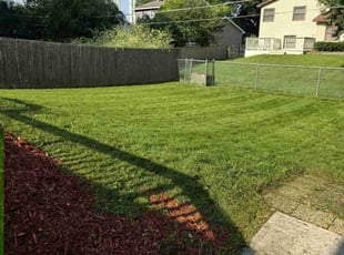 Priscilla B.'s Lawn Maintenance service result