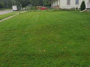 Max L.'s Lawn Service service result
