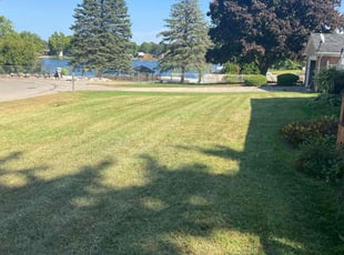 Terrence W.'s Lawn Care service result