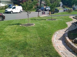 Hae E.'s Yard Cutting service result