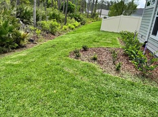 Matthew S.'s Lawn Service service result