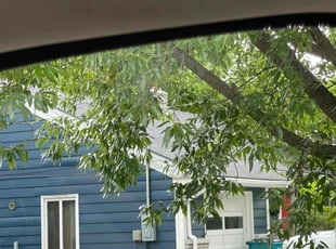 Cleanups by Jermaine Mallett for Akin D. in Springfield, MO