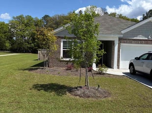 Susan H.'s Lawn Mowing service result