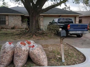 Leaf Removal by Rene Contreras for Helen H. in Richmond, TX