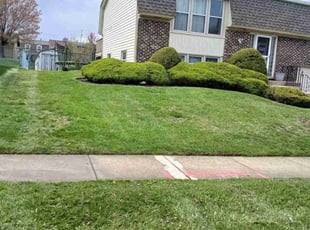 Kathy P.'s Lawn Mowing service result