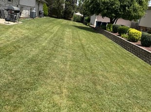 Rick R.'s Lawn Care service result