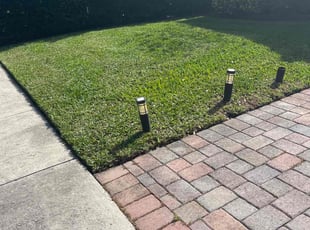 Laura W.'s Lawn Mowing service result