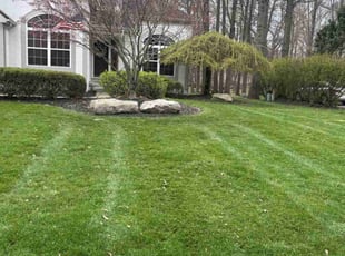 Candace W.'s Lawn Mowing Service service result