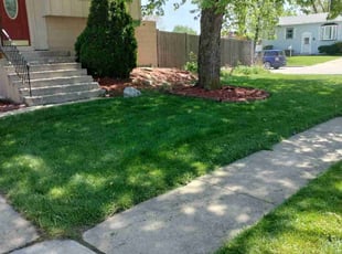 Obadiah M.'s Grass Cutting service result