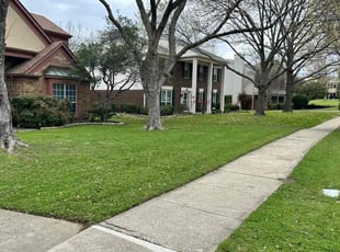 David N.'s Lawn Mowing service result