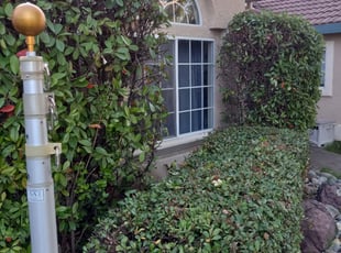 Bush Trimming by Daniel Sullivan for Lidia W. in Roseville, CA