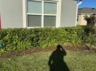 Sheri h.'s Lawn Service service result