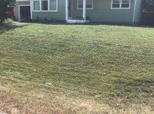 Brad C.'s Yard Cutting service result