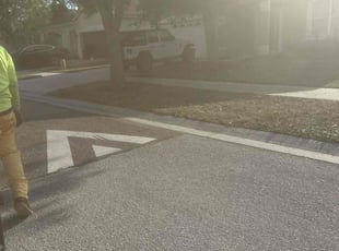 Leaf Removal by William Chavers for Nicolas J. in Ruskin, FL