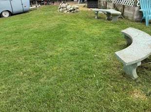 Bilal A.'s Lawn Mowing Service service result