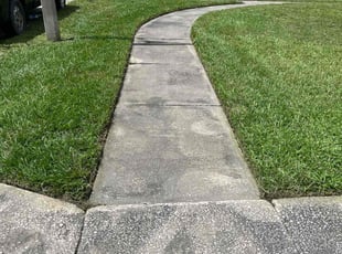 Renee A.'s Lawn Mowing Service service result