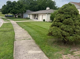 Mohammed C.'s Lawn Service service result