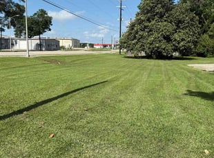 Sharra F.'s Lawn Care service result