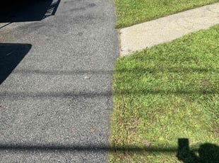 Jane S.'s Lawn Care service result