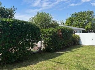 Bush Trimming by Israel Veira for Yisel H. in Miami, FL