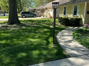 Sally C.'s Grass Cutting service result