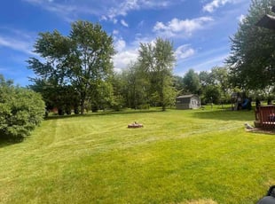 Danya V.'s Lawn Service service result