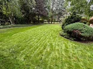 Vincent W.'s Lawn Service service result