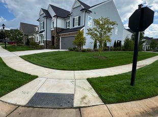 Shannon N.'s Grass Cutting service result
