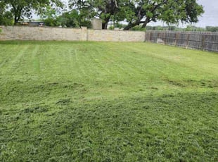 Nicholas J.'s Lawn Care service result
