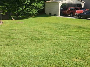 Alex C.'s Lawn Maintenance service result