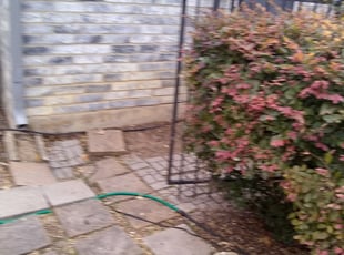 Bush Trimming by Gralin Johnson for 5358 Cresent lake. The new one KriS G. in Fort Worth, TX