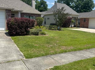 Weeding by Layken Hebert for Yoon Ha L. in Baton Rouge, LA