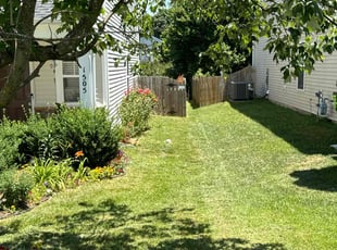 Jean S.'s Lawn Mowing service result