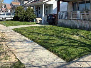 Annesia B.'s Lawn Maintenance service result