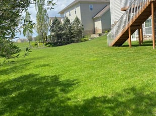 Greg S.'s Lawn Mowing service result