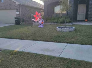 Shawnice B.'s Lawn Service service result
